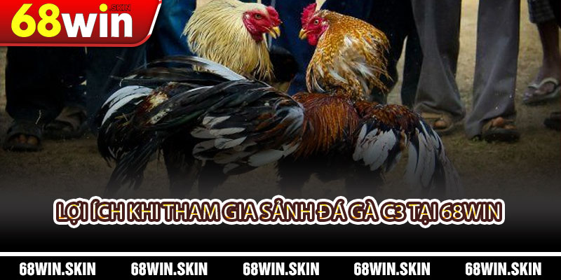Sảnh Đá Gà C3 – Trải Nghiệm Đá Gà Đỉnh Cao Tại 68WIN - Lopebu